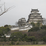 IMG_3436.JPG