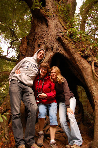 Hobbits in the Otways