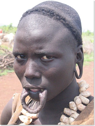 kancia3