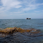 _MG_8386-99.jpg