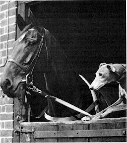 Mick The Miller 5 Mick The Miller 5