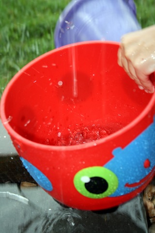 [rainbucket3.jpg]