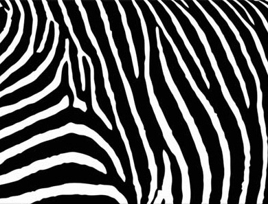 [zebra-stripe-canvas-print-552-p[17].jpg]