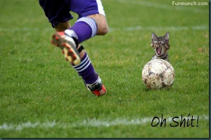 Footbol and cat