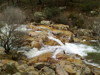 22022010096.jpg Photo