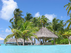 Lankanfushi- The Resort Island - 453.jpg