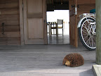 Villa 22 Soneva Gili  - 199.jpg