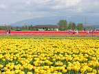 DSCN4484.JPG