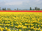 DSCN4470.JPG