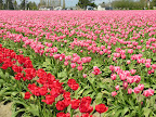 DSCN4499.JPG