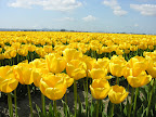 DSCN4482.JPG