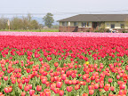 DSCN4494.JPG