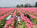 DSCN4511.JPG