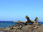 DSCN7323.JPG