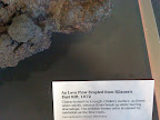 IMG_1261.JPG