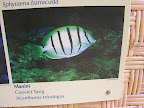 DSCN8019.JPG