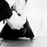 Aikido Waza Journal Backgrounds