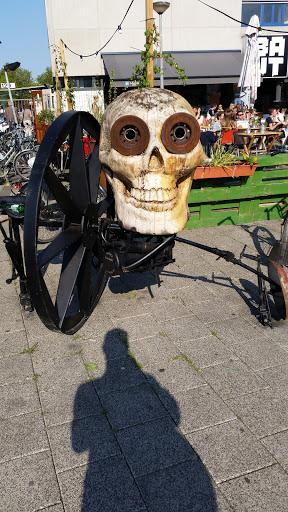 Skull and Wheels Bout