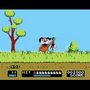 duck hunt nes game