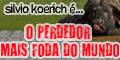 banner o perdedor mais foda do mundo