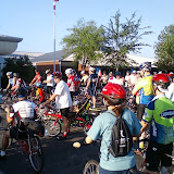 Sweet Onion Century 2009