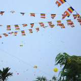 DSC_0200.JPG