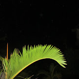 IMG_2544.JPG