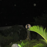 IMG_2548.JPG