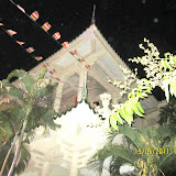 IMG_2468.JPG