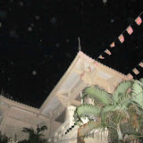 IMG_2480.JPG