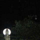 IMG_2509.JPG