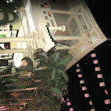 IMG_2637.JPG