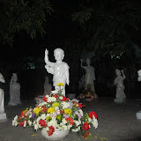 IMG_2698.JPG