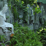 DSC_0006.JPG
