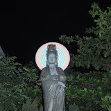 DSC_0370.JPG