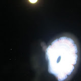 IMG_2818 copy 2.jpg