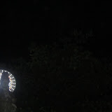 IMG_2845.JPG