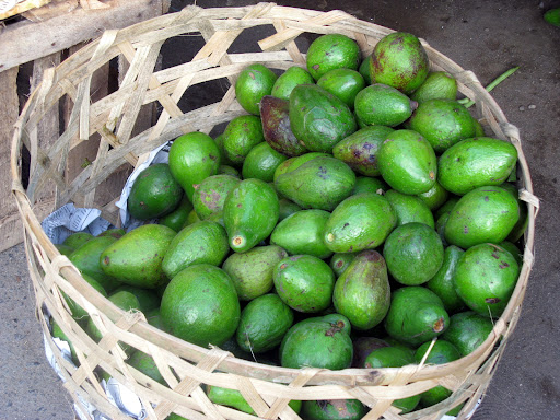 avocado
