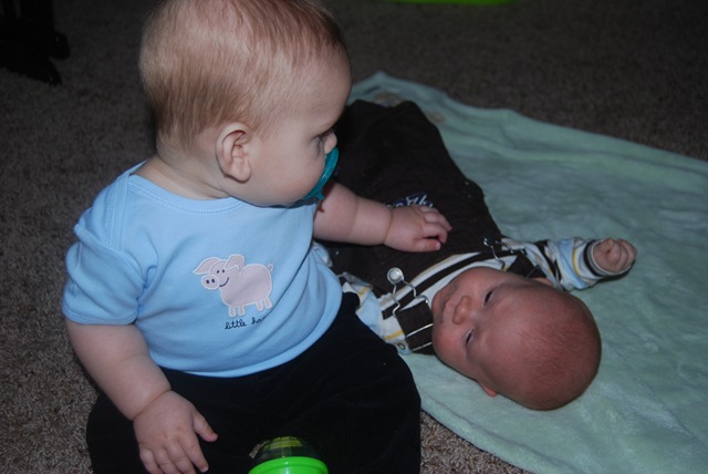 [DSC_0044[4].jpg]