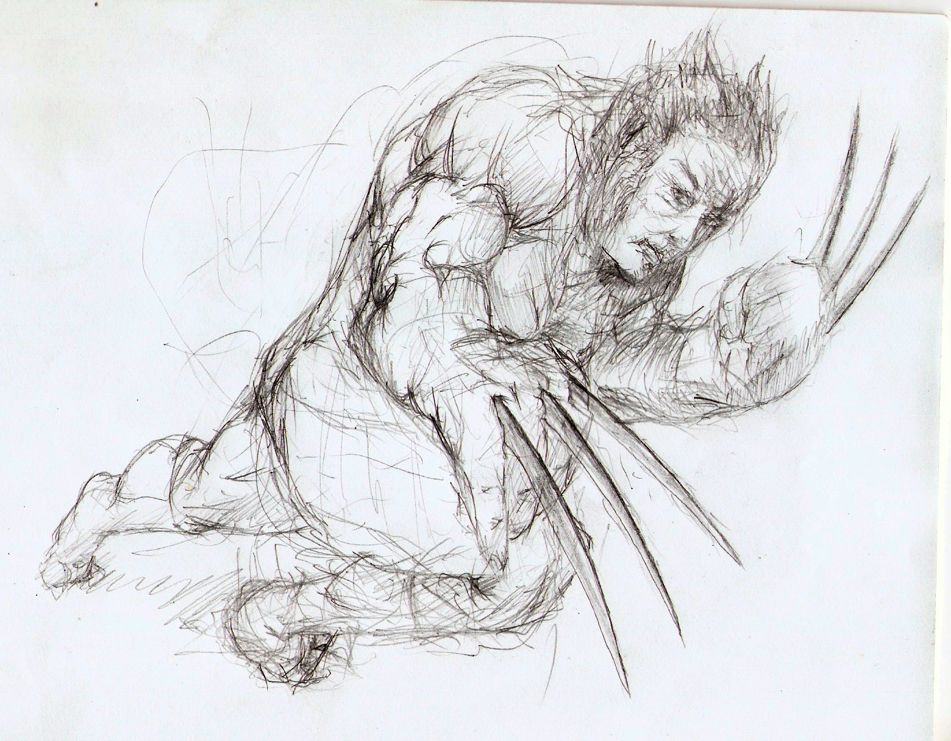 [wolverine[4].gif]