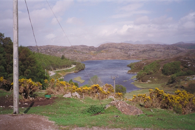 IMG0018.jpg