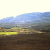 1-27-2010_065.jpg