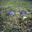 1-27-2010_068.jpg