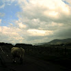 1-27-2010_071.jpg