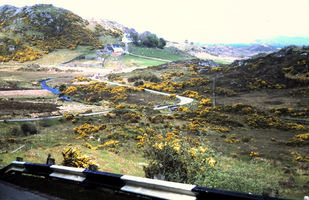 1-27-2010_076.jpg