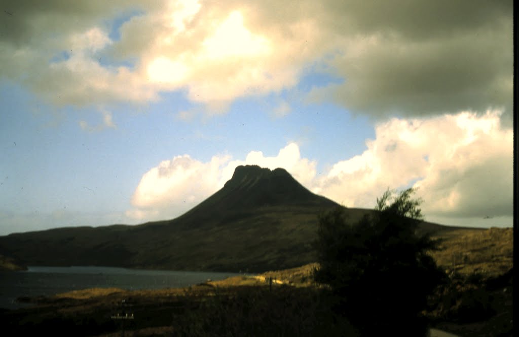 1-27-2010_085.jpg