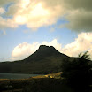 1-27-2010_085.jpg
