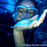 03-04-10 - PM Dives - Neds Tunnels, Bullwinkle