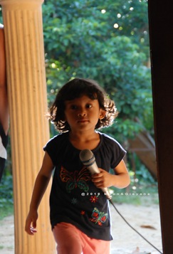 DSC_0786 DSC_0786
