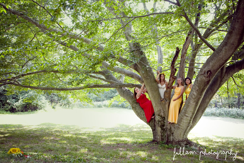  :: Lisa & Elliot | Wedding :: 